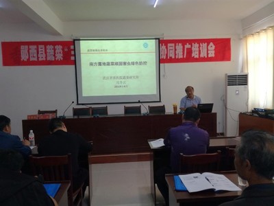 鄖西縣舉辦2019年蔬菜“三減三增”健康栽培技術協同推廣培訓班 新材料技術助力綠色農業發展